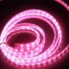 Led strip light single colour , 12v, IP65, 5050/3528